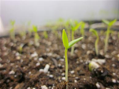 Featured image for “Signs of Life”