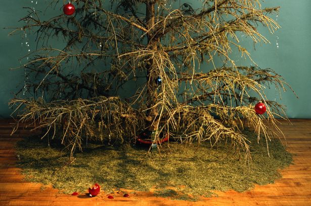 Featured image for “Happy New… ah forget it.”